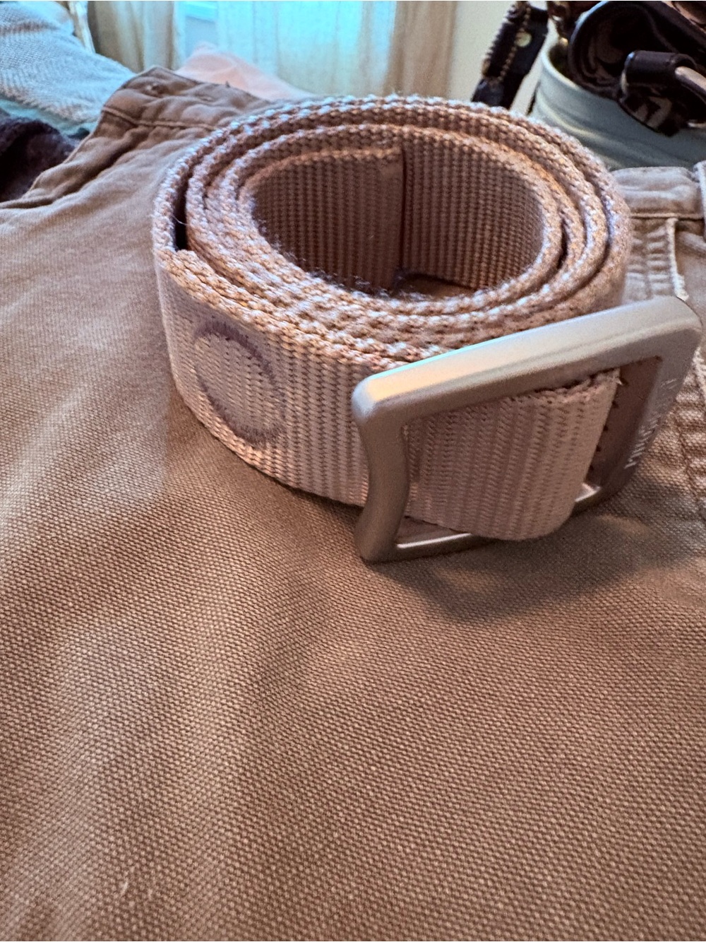 Patagonia Tech Web Belt